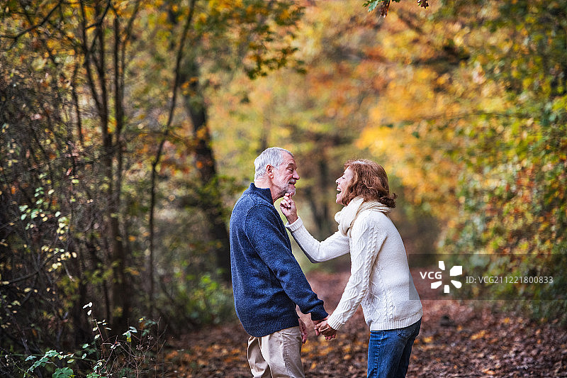 老年夫妇在一个秋天的自然，手牵着手，有乐趣。图片素材