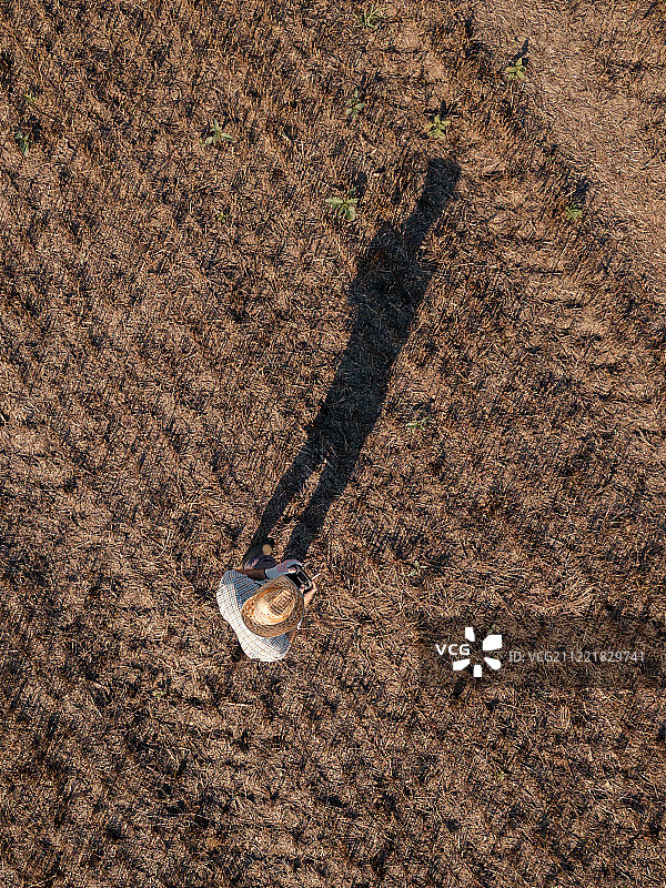 俯视图的男性农民飞行的无人机在野外图片素材