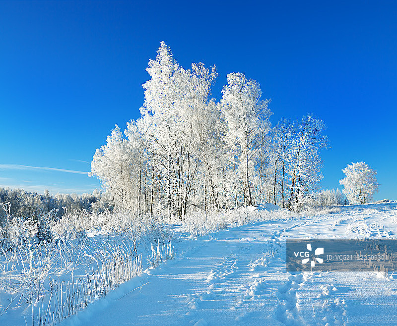 乡村冬季景观A与蓝天，田野和森林图片素材