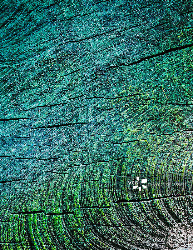 蓝色和绿色的树纹理图片素材