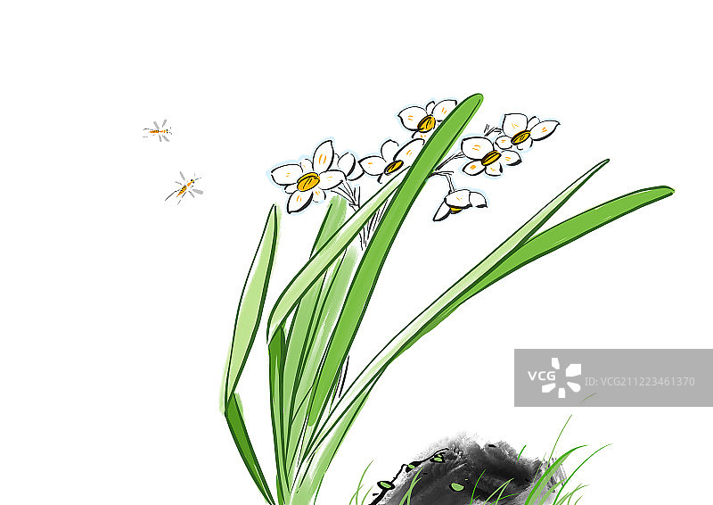 中国传统水墨花卉插画水仙花蜜蜂图片素材