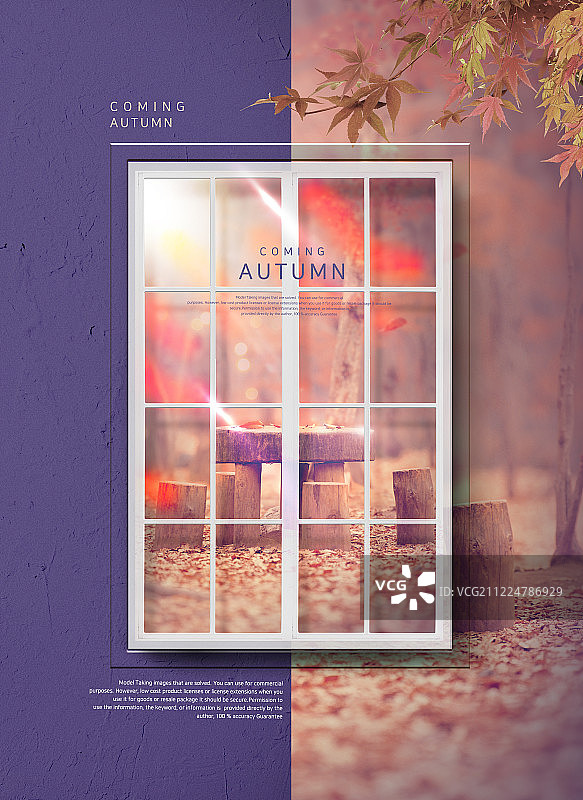 图形图像,框架,秋天,窗口,框架,枫树,枫叶、材料、布局图片素材