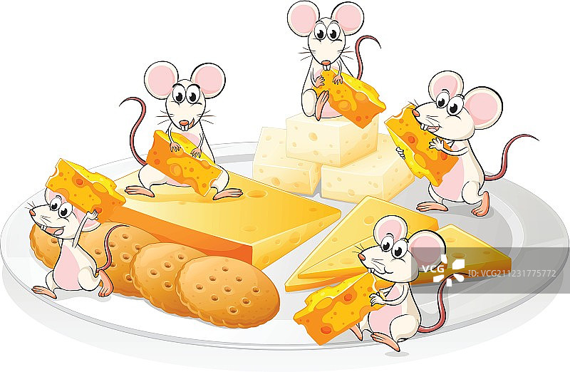 五只老鼠和奶酪和饼干图片素材