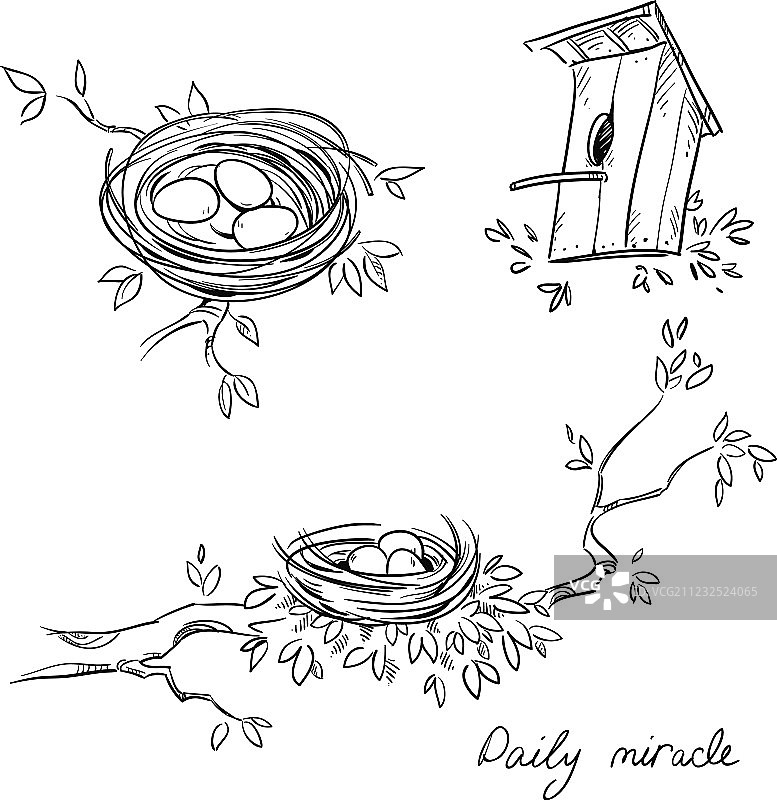 手绘的鸟巢和鸟笼