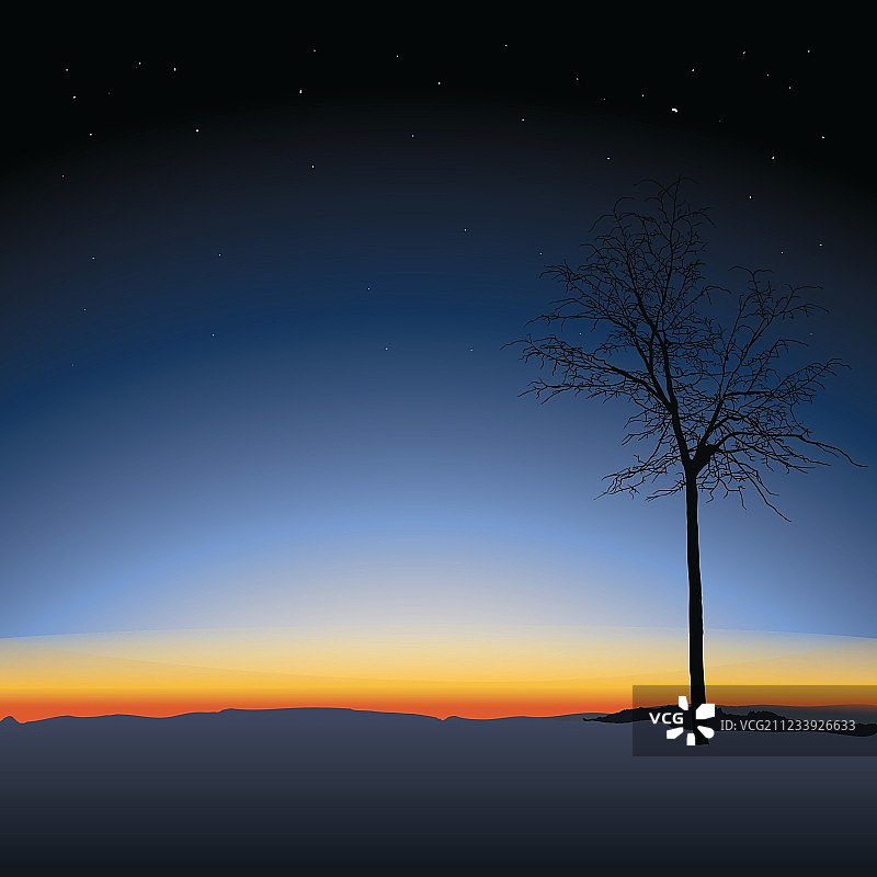 夕阳背景下的树图片素材
