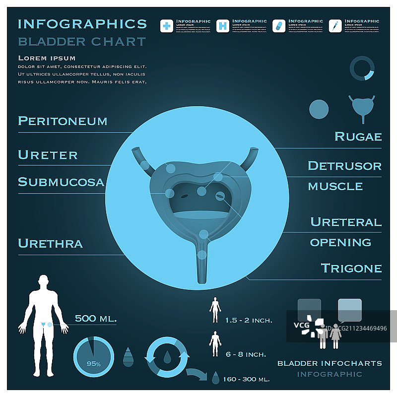信息图表健康和医疗图片素材