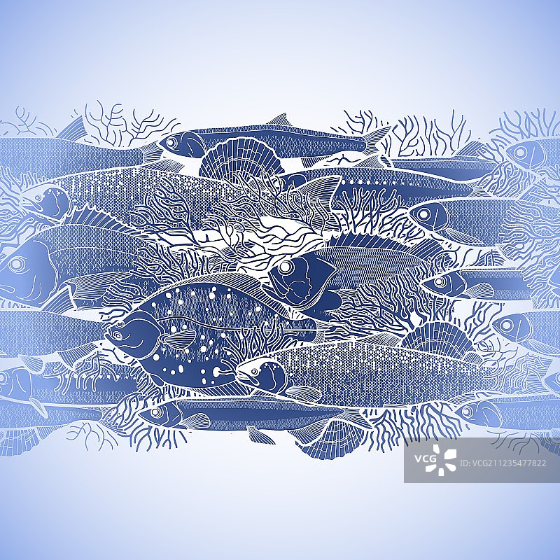 图形海洋鱼类边界图片素材