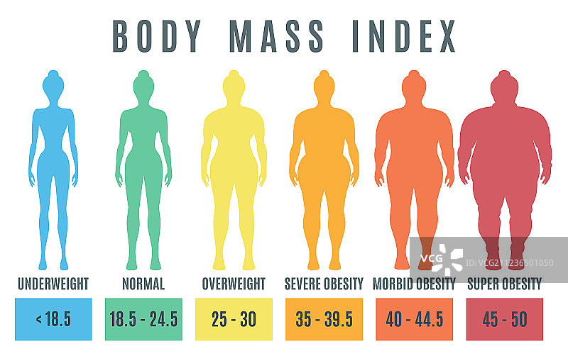 女性体重指数正常体重肥胖和图片素材