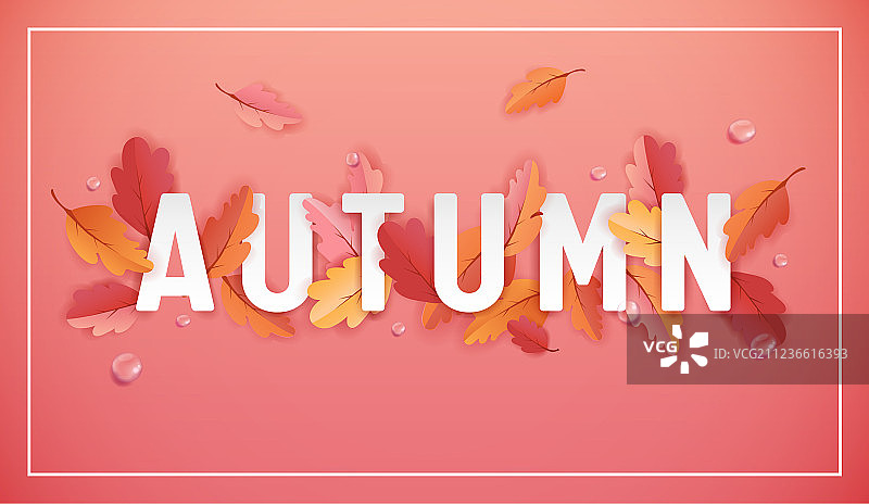秋天的背景模板与美丽的树叶图片素材