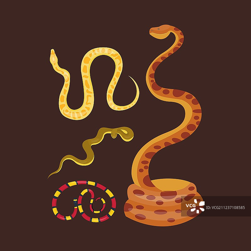 蛇爬行动物卡通套装图片素材