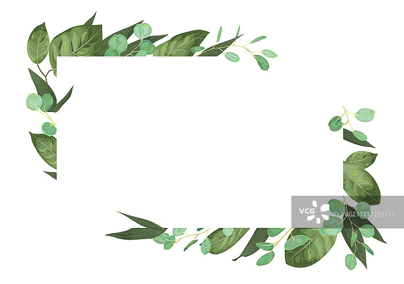 卡片花卉设计与绿色水彩草本植物图片素材