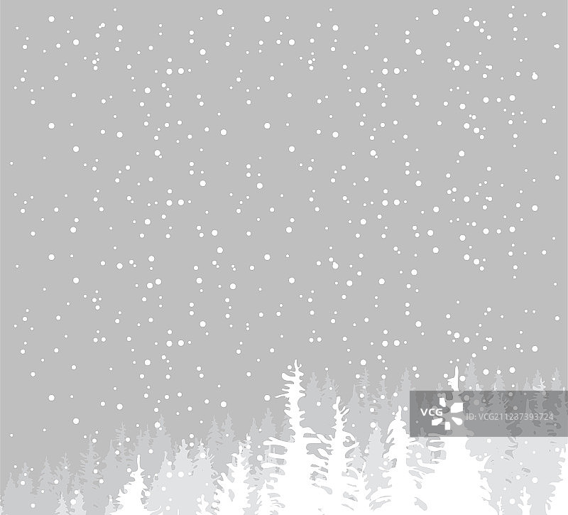冬天的雪景与古老的冷杉树图片素材