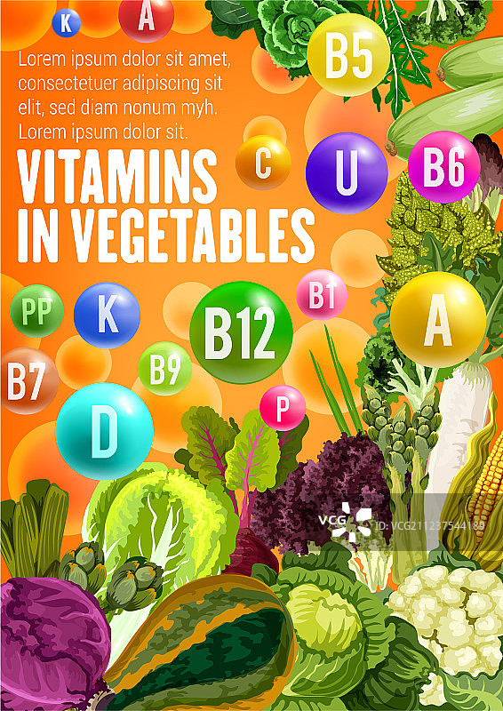 维生素食物来源在蔬菜图片素材