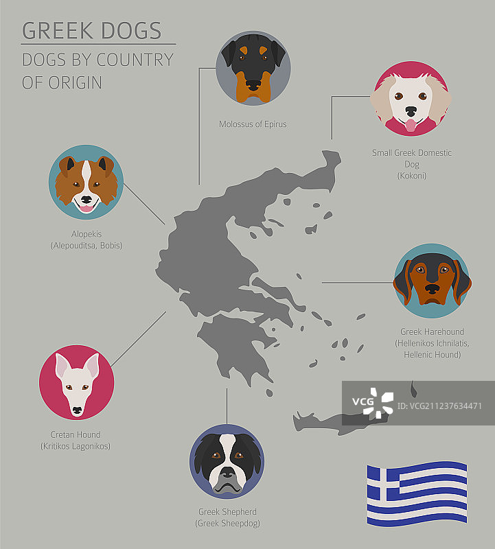 狗的原产国希腊狗品种图片素材