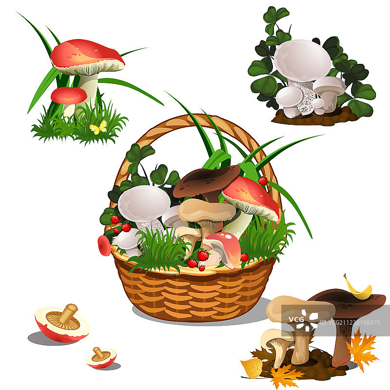 篮子，蘑菇孤立在白色背景图片素材