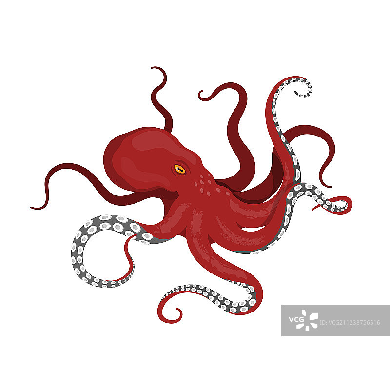 白色背景上的巨型红色章鱼图片素材
