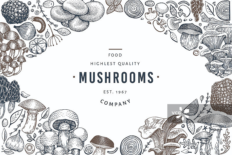 蘑菇设计模板手绘食物图片素材