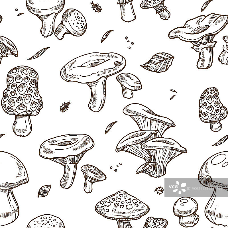 蘑菇素描无缝图案食用图片素材