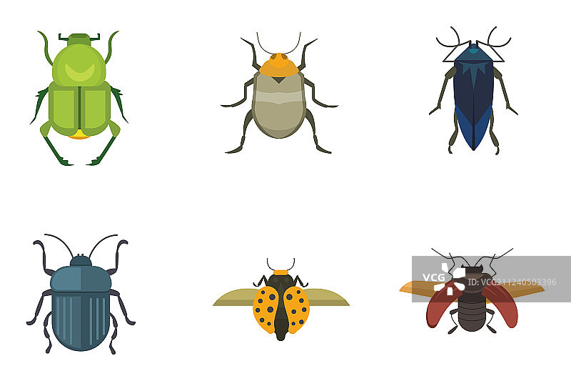 一套昆虫平面风格的图标设计图片素材