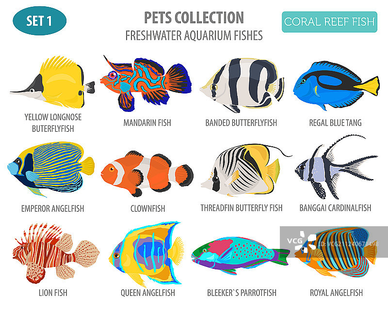 淡水水族鱼品种图标设置平图片素材