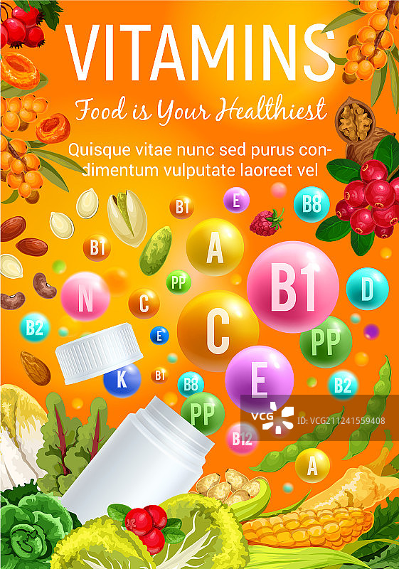 有机蔬菜和浆果中的健康维生素图片素材
