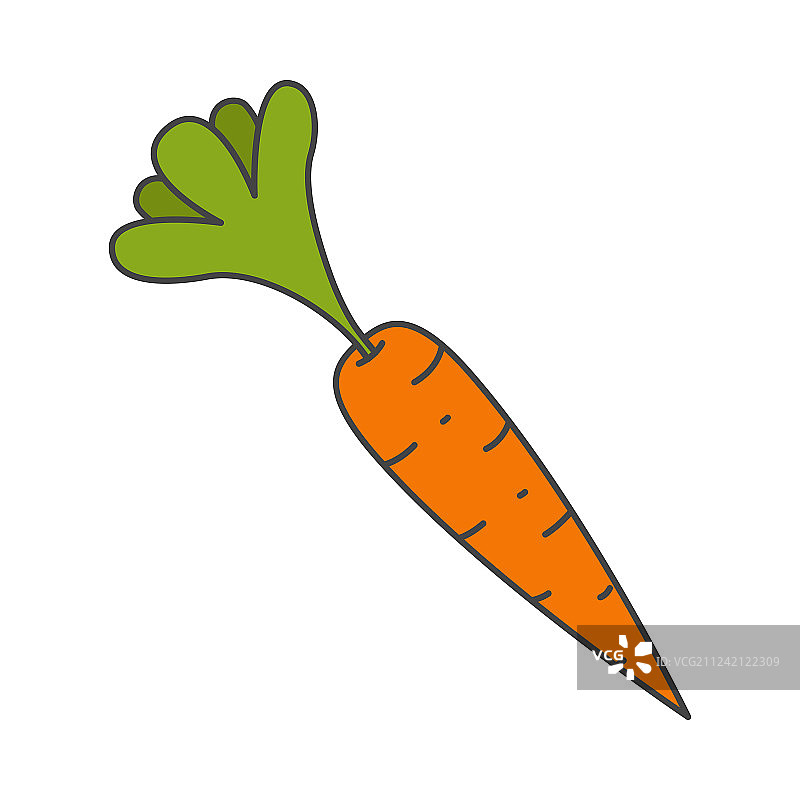 成熟的胡萝卜与叶子扁平的图标图片素材
