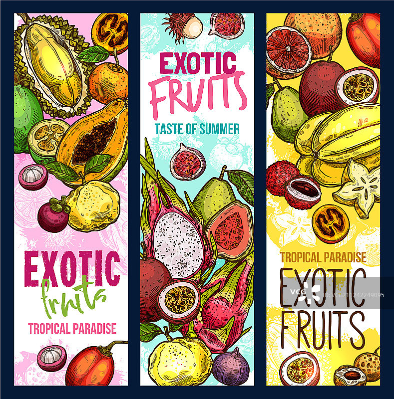 异国水果热带水果素描横幅图片素材