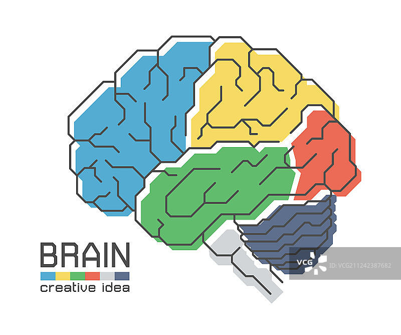 大脑解剖与平面颜色设计和轮廓图片素材