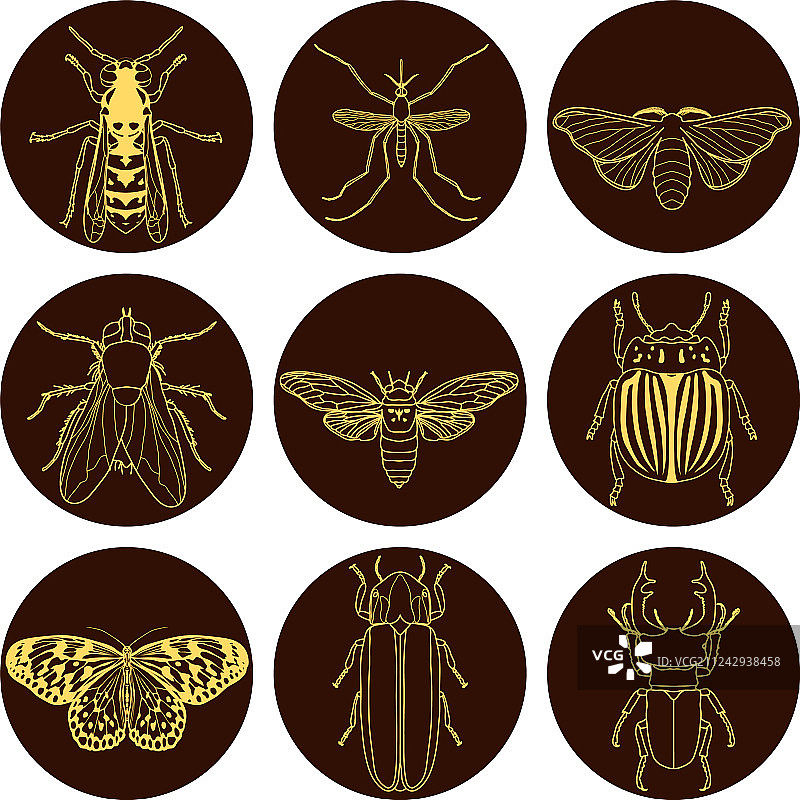 昆虫图标设置蝉和雄虫萤火虫图片素材