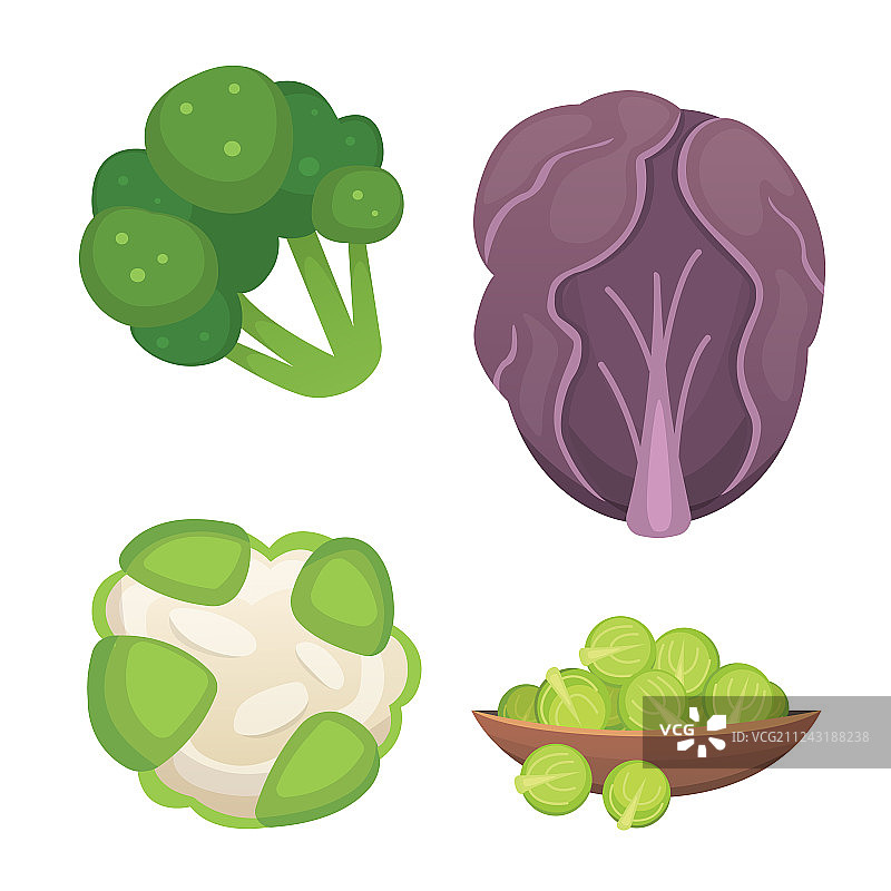 把卷心菜和生菜做成绿色蔬菜图片素材