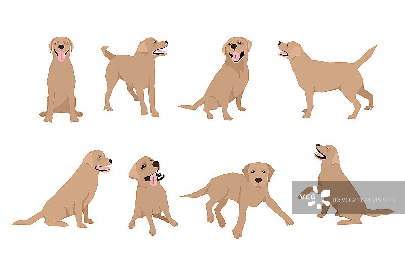 动物狗拉布拉多人物图标设置在平坦图片素材