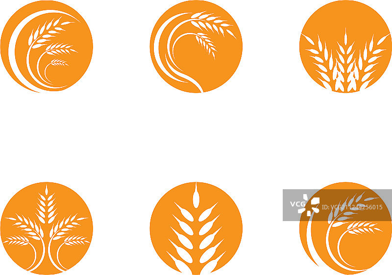 农业小麦标志模板图片素材