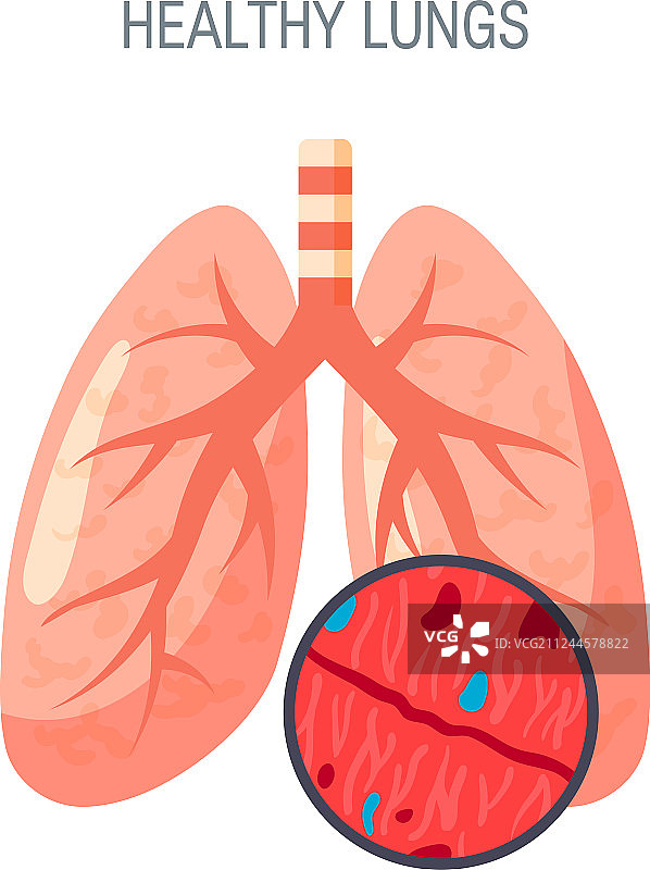 健康的肺图标在平坦的风格图片素材