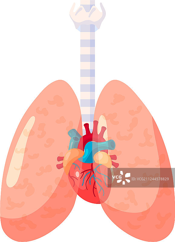 人类肺部图标在扁平风格图片素材