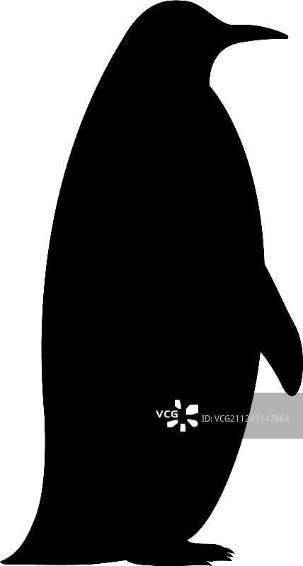 企鹅的黑色剪影图片素材