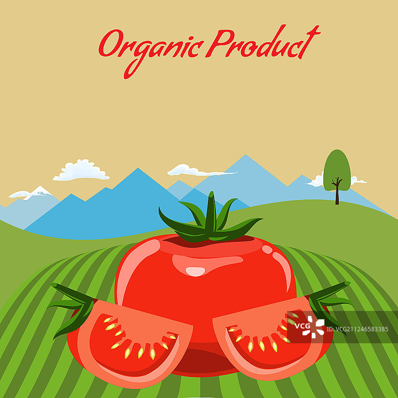 番茄模型在农场景观背景标签图片素材