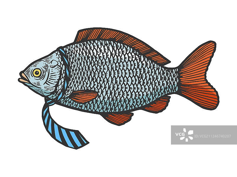 鱼在领带颜色素描雕刻图片素材