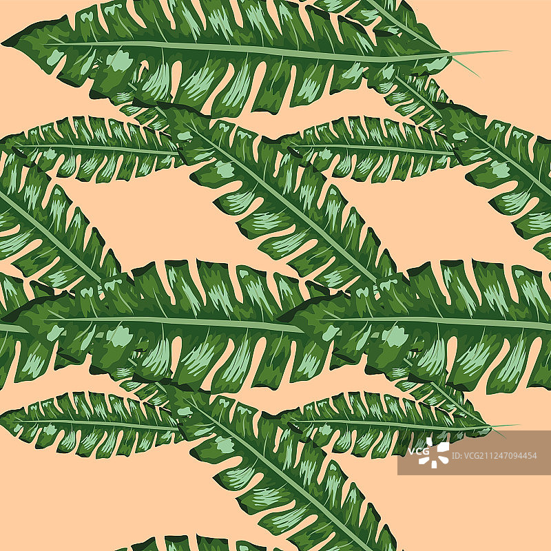 热带香蕉绿叶无缝图案图片素材