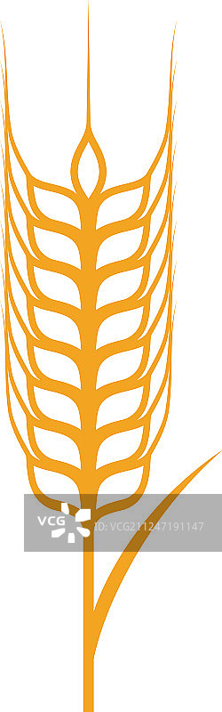 农用小麦模板图标设计图片素材