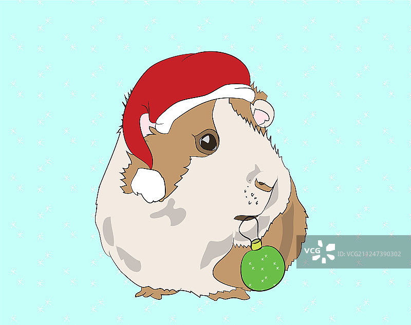 新年豚鼠在圣诞节图片素材