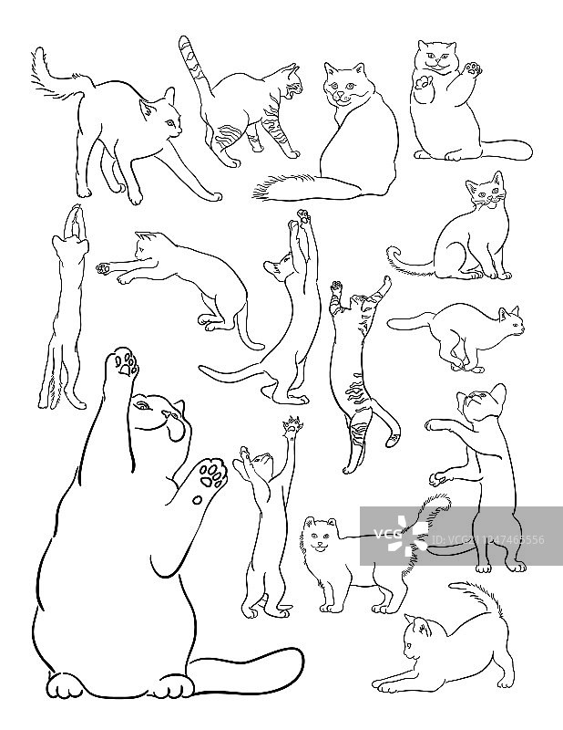 猫艺术线条图片素材