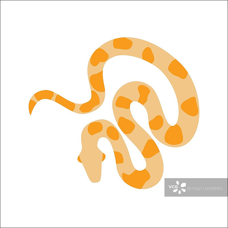 蛇python卡通图片素材