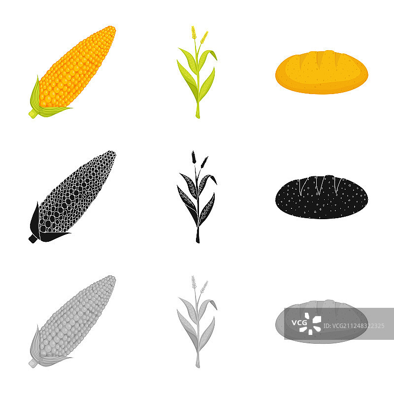 玉米田和蔬菜图片素材