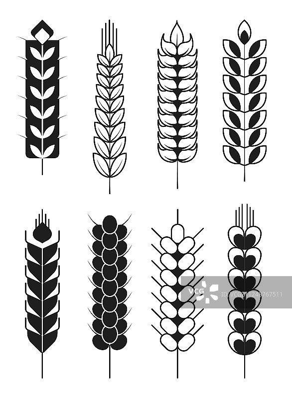 小穗图标或谷类，小麦或黑麦穗和图片素材