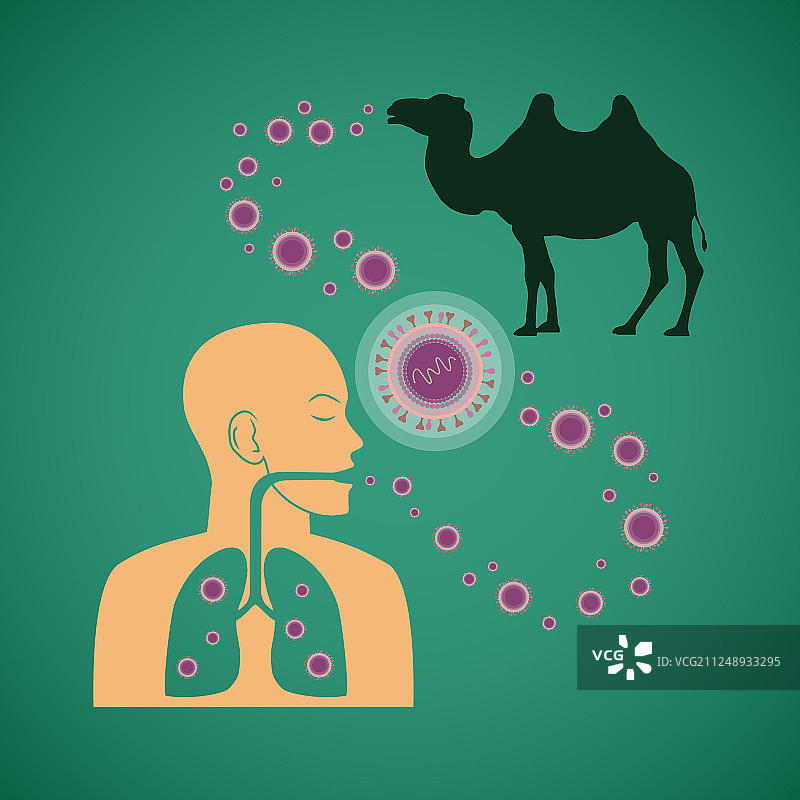 人与动物呼吸道致病的概念图片素材