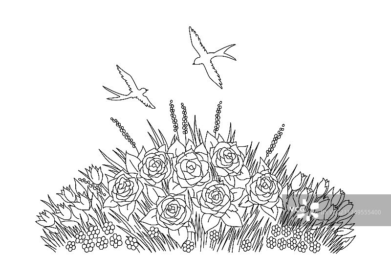 燕子在白底上画着花图片素材