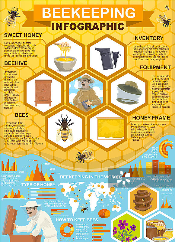 养蜂人蜂蜜收集蜂房信息图图片素材
