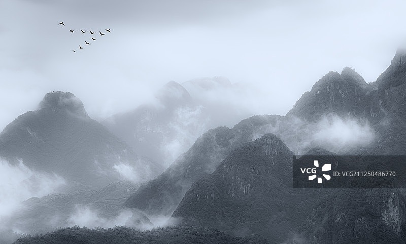云雾中山间的鸟群图片素材