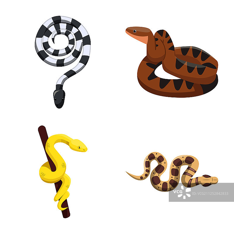 设计蛇和令人毛骨悚然的标志集图片素材