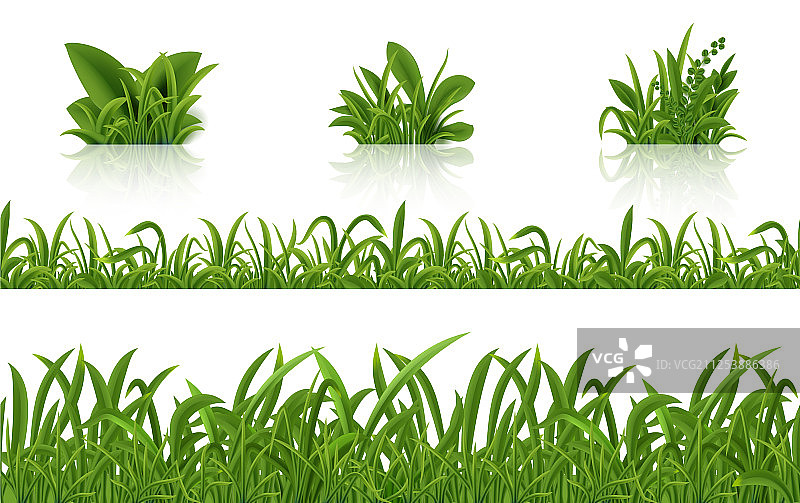 逼真的绿草3d新鲜的春天植物设置图片素材